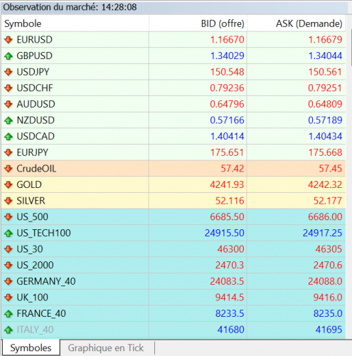 La fenêtre du Market Watch qui affiche tous vos instruments de trading